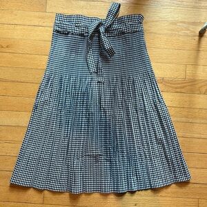 Zara Skirt